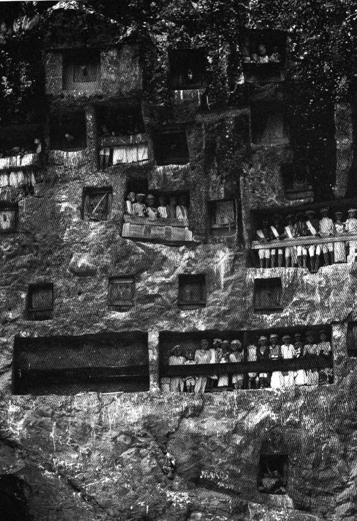 grobowce wydrążone w skale. plemię Toraja